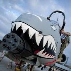 Meet your Posher, Joshua